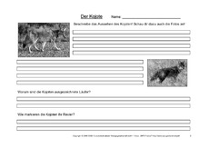 Kojote-Fragen-2.pdf